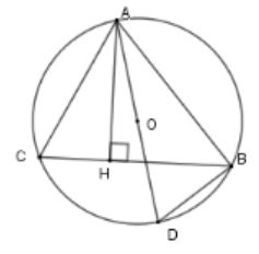 Cho tam giác ABC có đường cao AH và nội tiếp trong đường tròn tâm (O) đường kính AD. (ảnh 1)