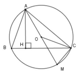 Cho tam giác ABC có ba góc nhọn, đường cao AH và nội tiếp đường tròn tâm (O), đường kính AM. (ảnh 1)