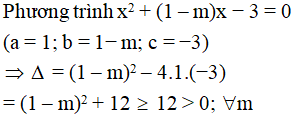 Tìm điều kiện của tham số m để phương trình x^2 + (1 – m)x − 3 = 0 vô nghiệm A. m = 0 B. Không tồn tại m (ảnh 1)