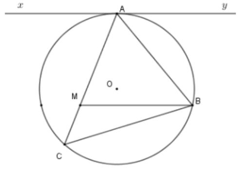 Cho tam giác nhọn ABC nội tiếp (O). Kẻ tiếp tuyến xAy với (O) Từ B kẻ BM // xy (M thuộc AC). Khi đó tích AM. AC bằng (ảnh 1)