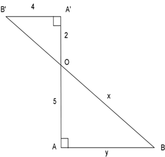 Tính các độ dài x, y trong hình bên:  A. x = 2.căn 5, y = 10  B. x= 10 căn 5, y=9 (ảnh 1)