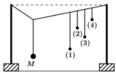 Thực hiện thí nghiệm về dao động cưỡng bức như hình bên. Năm con lắc đơn (1); (2); (3); (4) và M (con lắc điều khiển) (ảnh 1)
