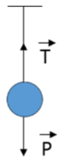 Trong cách mô tả sau đây về tương quan giữa trọng lượng P và lực căng T A. Cùng phương, ngược chiều, cùng độ lớn  (ảnh 1)