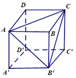 Cho hình lập phương ABCD. A’B’C’D’. Tính số góc ACB’  A. 90 độ (ảnh 1)