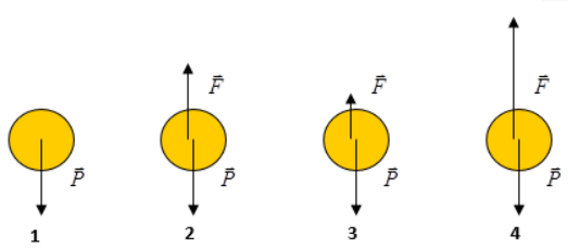 Khi ném một quả bóng lên cao (bỏ qua mọi ma sát), hình vẽ nào sau đây diễn tả đúng các lực tác dụng lên quả bóng. (ảnh 1)