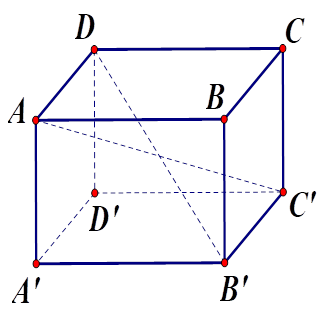 Cho hình hộp chữ nhật ABCD. A’B’C’D’, chọn khẳng định đúng A. AC’ và DB’ cắt nhau  (ảnh 1)