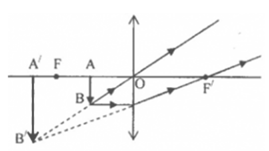Chọn phương án đúng về cách vẽ ảnh (A'B') của vật sáng (AB) trong các trường hợp sau: (ảnh 1)