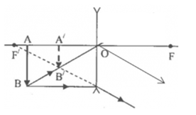 Chọn phương án đúng về cách vẽ ảnh (A'B') của vật sáng (AB) trong các trường hợp sau: (ảnh 2)