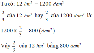 2/3 của 12 hm^2 bằng  ?  dam^2 Số thích hợp cần điền vào ô trống trên là: A. 400  B. 300 (ảnh 1)