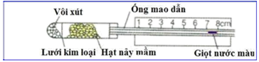 Hình bên mô tả thời điểm bắt đầu thí nghiệm phát hiện hô hấp ở thực vật (ảnh 1)