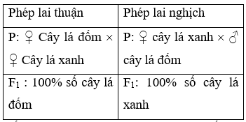 Thế nào là phép lai thuận nghịch? Khám phá chi tiết và ứng dụng