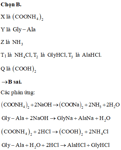 Hỗn hợp E gồm muối của axit hữu cơ X (C2H8N2O4) và đipeptit (ảnh 1)