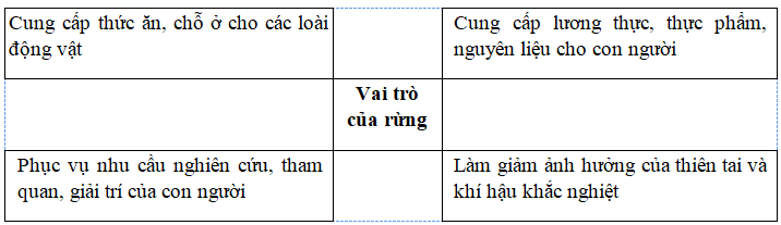 Viết về các vai trò của rừng để hoàn thành sơ đồ sau (ảnh 2)