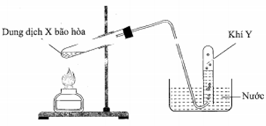 Cho hình vẽ mô tả thí nghiệm điều chế khí Y từ dung dịch chứa chất X (ảnh 1)
