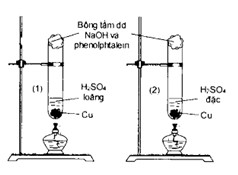 Nhận định nào sau đây đúng khi xảy ra phản ứng giữa các chất  (ảnh 1)