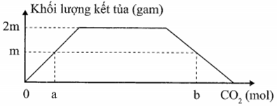 Dẫn từ từ khí CO2 đến dư vào dung dịch chứa X mol Ca(OH)2 (ảnh 1)