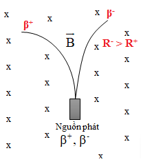Vết của các hạt beta− và beta+ phát ra từ nguồn N chuyển động (ảnh 2)