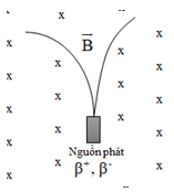 Vết của các hạt beta− và beta+ phát ra từ nguồn N chuyển động (ảnh 1)