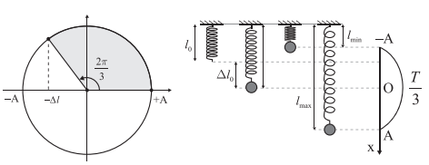 Một con lắc lò xo treo thẳng đứng với biên độ A = 10 cm (ảnh 1)