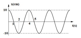 Đồ thị dưới đấy biểu diễn x = A cos (omega t + pphi). Phương trình dao động là (ảnh 1)