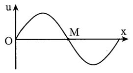 Trên một sợi dây dài đang có sóng ngang hình sin truyền (ảnh 1)