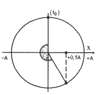 Một con lắc lò xo dao động điều hòa theo phương thẳng đứng (ảnh 1)