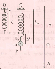 Trong quá trình dao động, chiều dài của con lắc lò xo thẳng đứng (ảnh 1)