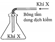 Người ta thu khí X sau khi điều chế như hình vẽ bên. Trong các khí (ảnh 1)