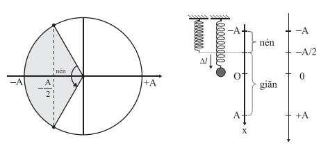 Một lò xo có độ cứng k = 80 N/m treo thẳng đứng. Treo lò xo (ảnh 1)