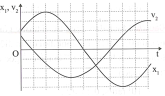 Hai vật M1 và M2 dao động điều hòa cùng tần số. Hình bên là đồ thị (ảnh 1)