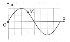 Trên một sợi dây có sóng ngang hình sin truyền qua theo chiều dương (ảnh 1)