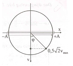 Một chất điểm dao động điều hòa theo trục Ox. Ở thời điểm (ảnh 1)