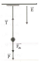 Một con lắc đơn có khối lượng quả cầu 200 g, dao động điều hòa (ảnh 1)