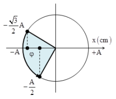 Hai vật dao động điều hòa dọc theo hai đường thẳng song song (ảnh 1)