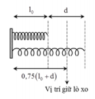 Một con lắc lò xo đang dao động điều hòa với tần số 2,5 Hz trên (ảnh 1)