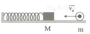 Cho cơ hệ như hình vẽ, lò xo lý tưởng có độ cứng k = 100N/m (ảnh 1)