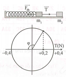Một lò xo có khối lượng không đáng kể, độ cứng k = 20N/m (ảnh 1)