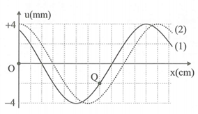 Một sóng hình sin đang lan truyền đến một sợi dây theo chiều dương (ảnh 1)
