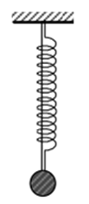 Một lò xo và một sợi dây đàn hồi nhẹ có cùng chiều dài tự nhiên (ảnh 1)