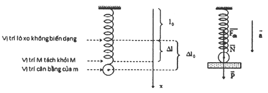Một con lắc lò xo thẳng đứng gồm một vật nặng khối lượng m = 100 g (ảnh 1)