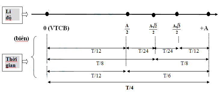 Một vật dao động điều hòa dọc theo trục tọa độ nằm ngang Ox (ảnh 1)