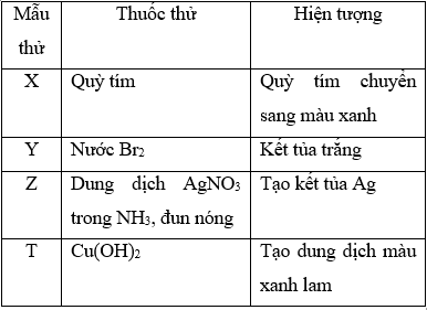 Kết quả thí nghiệm của các dung dịch X, Y, Z, T với thuốc thử (ảnh 1)