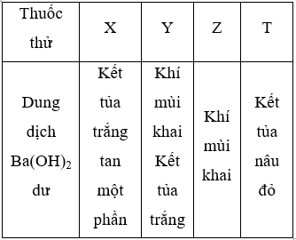 Cho từ từ thuốc thử đến dư vào lần lượt các dung dịch X, Y, Z, T (ảnh 1)