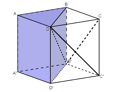 Có thể phân chia một khối lập phương trở nên từng nào khối tứ diện hoàn toàn có thể tích đều nhau (ảnh 2)