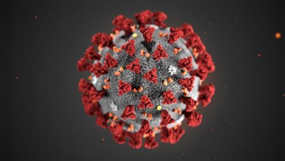 Virus corona có hình gì (ảnh 1)