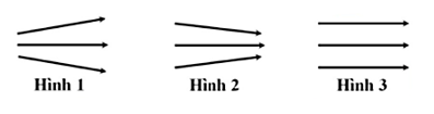 Hình ảnh đường sức điện nào ở hình vẽ ứng với các đường sức của một điện tích điểm âm (ảnh 1)