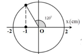 Con lắc lò xo treo thẳng đứng gồm lò xo có độ cứng k =100N / m  (ảnh 1)