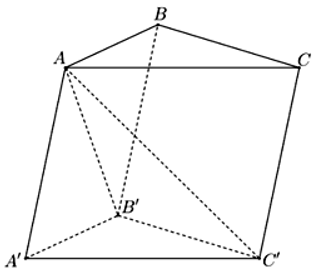 Cho hình lăng trụ ABC.A'B'C' có thể tích bằng V. Tính thể tích khối đa diện ABCB'C' (ảnh 1)