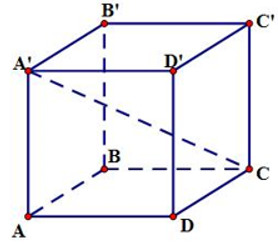 Cho hình lập phương ABCD.A'B'C'D..  Góc giữa hai mặt phẳng (A'AC) và (ABCD) bằng (ảnh 1)