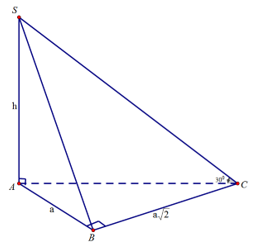 Cho hình chóp S.ABC có đáy ABC là tam giác vuông tại B  (ảnh 1)